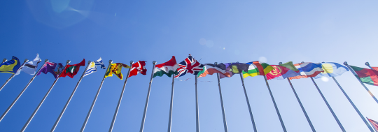 G20 countries with the highest returns