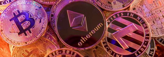 Performance of Cryptocurrencies