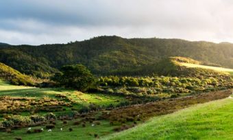 Travel money cards for New Zealand