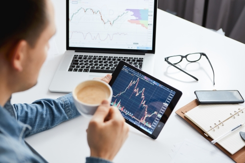 Fundamental investors