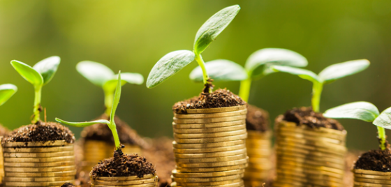 Canstar’s Superannuation Star Ratings 2019