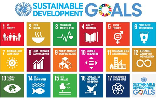 Impact Investing and Sustainable Development Goals 