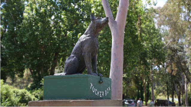 The Dog on a Tuckerbox