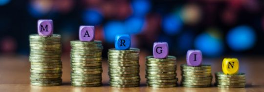 Margin Loans