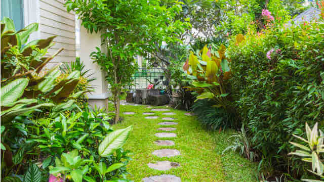 sustainable home design backyard
