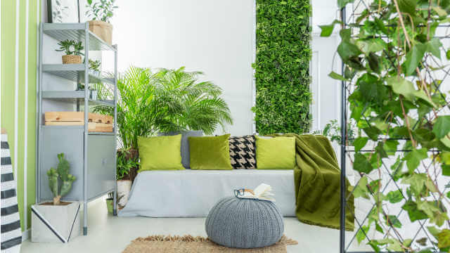 sustainable home design living wall