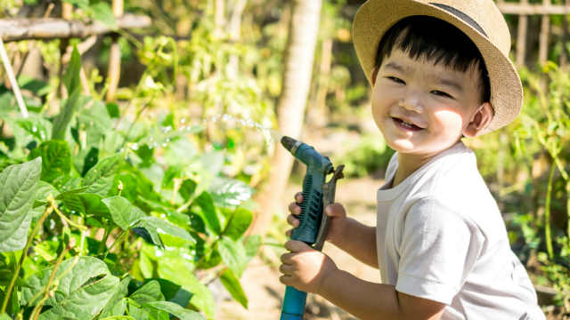 A boy gardening