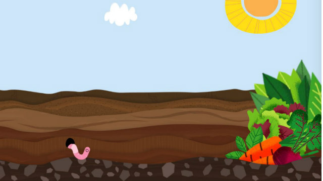 Woolworths' Discovery Garden home page.