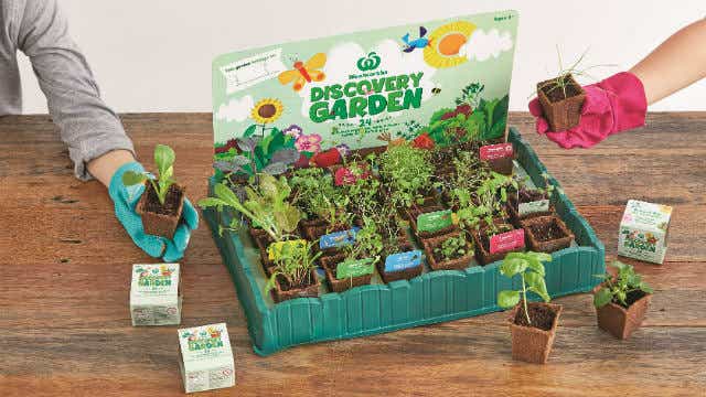 Article - Woolworths Discovery Garden Launch - Photo 3