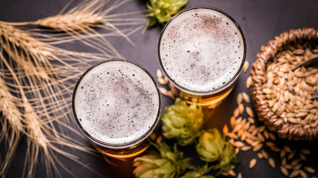 A picture of two beers with wheat and hops and grain.