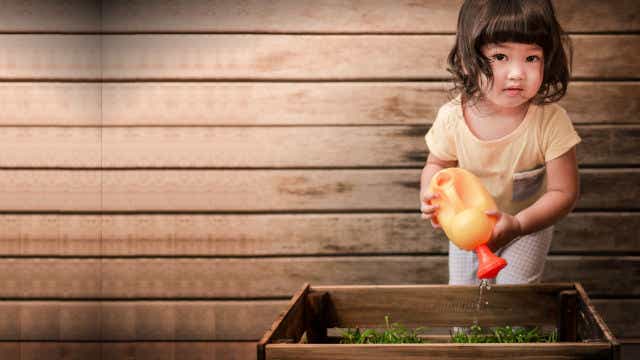 Child holding a watering can, watering herbs in a garden bed