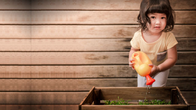 Child holding a watering can, watering herbs in a garden bed