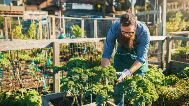 A man gardening.