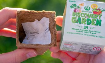 Woolworths' Discovery Garden promo is almost over – but is it worth buying into?