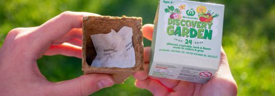 The Woolworths Discovery Garden seedling kit