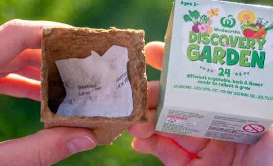 The Woolworths Discovery Garden seedling kit. Feature crop