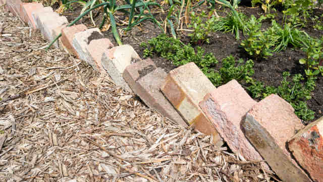 Bricks used as garden edging. Image: Eag1eEyes (Shutterstock)