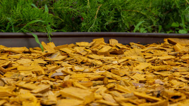 Plastic garden edging. Image: Andrii Chagovets (Shutterstock)