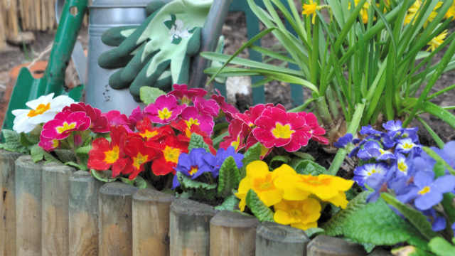 Garden edging made of treated sleepers.