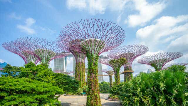 Singapore Gardens 