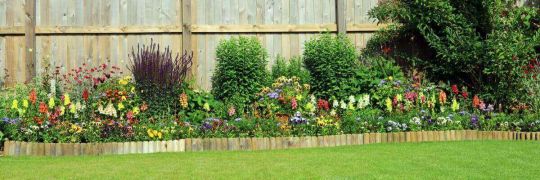 garden edge