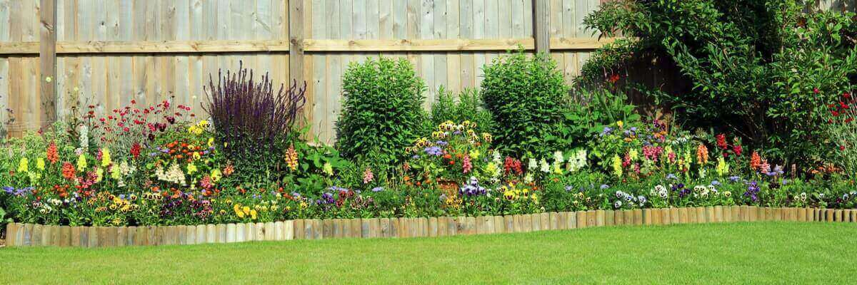 Garden Edging Ideas: 10 Creative Garden Edges | Canstar Garden Edging Ideas: 10 Creative Garden Edges | Canstar