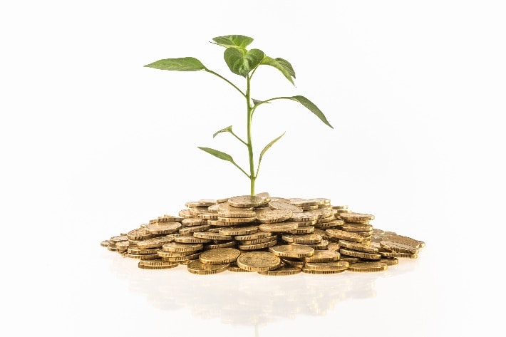 Plant growing out of money | Canstar