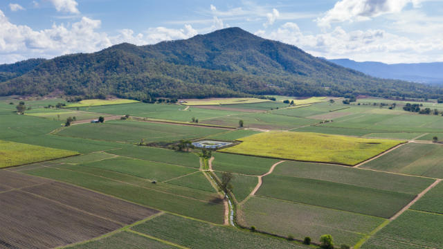 Mackay sugar cane_Property hotspots