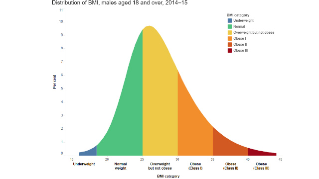 BMI Scale and What Does It Mean