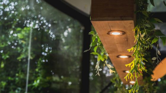 Installing Downlights: How Much Does It Cost? | Canstar