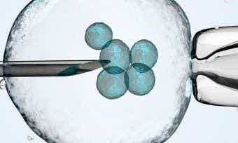 How much does IVF cost in Australia?