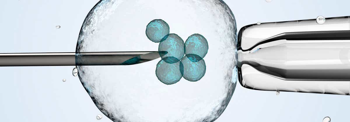 How Much Does IVF Cost in Australia? | Canstar