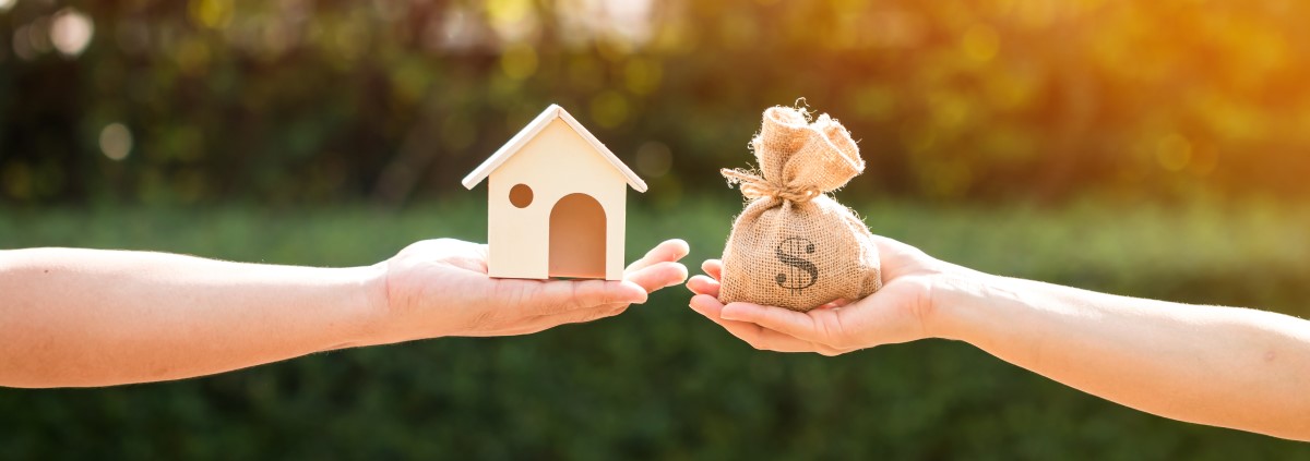 home loan for auction property
