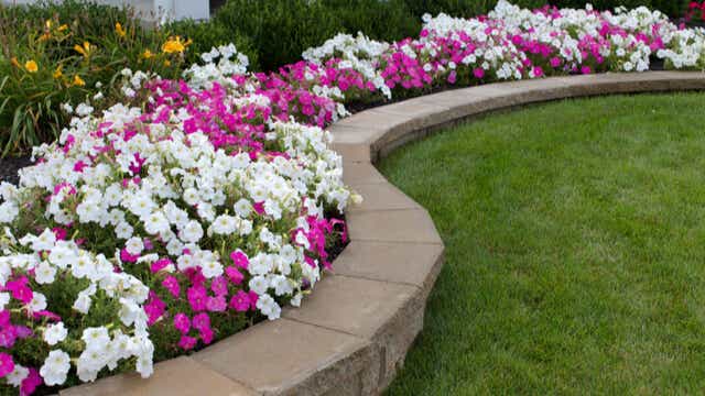 retaining wall flower bed