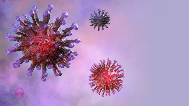 Coronavirus pandemic