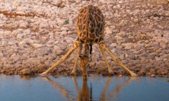 Water the experts saying?: Here’s how much water we should drink each day