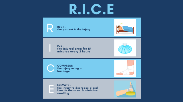 RICE Infographic