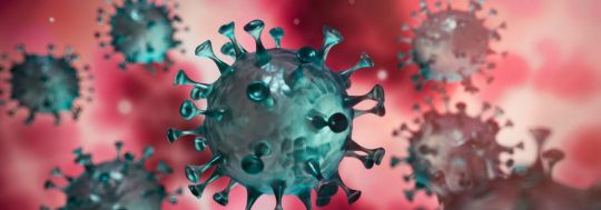 A 3D illustration of a flu virus. Image: peterschreiber.media (Shutterstock)