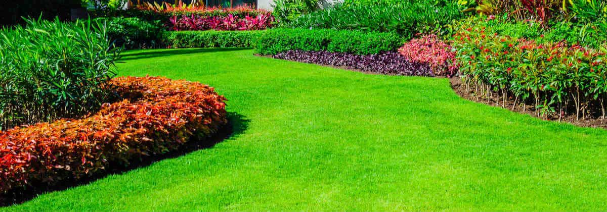 Cost To Landscape Your Backyard, How Much Is Insurance For A Small Landscaping Business