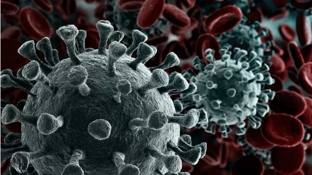 coronavirus microscope