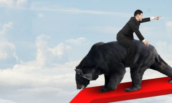 Your bear market survival guide