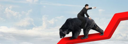 BearMarket
