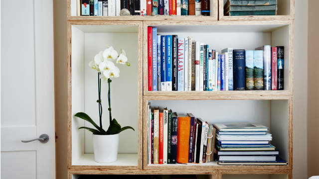 soundproofing bookcase