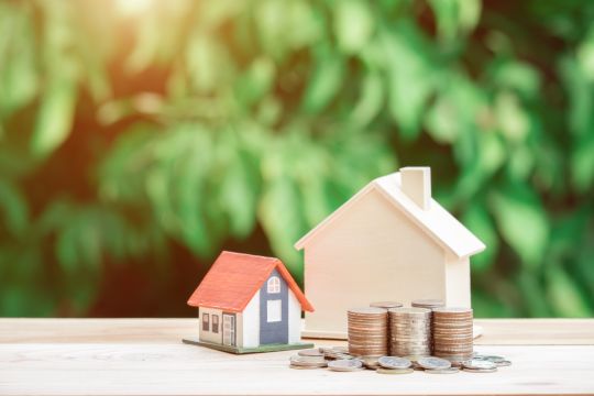 An image of a wooden house and coins