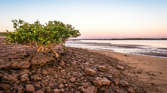 Port Hedland, WA