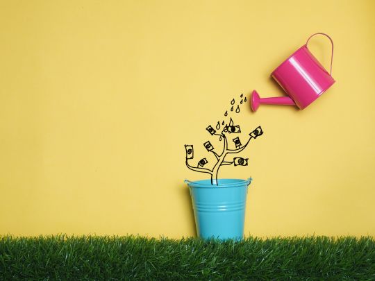 A watering can with a money tree growing