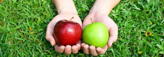 Comparing Apples