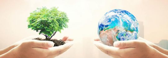 Ethical Investing