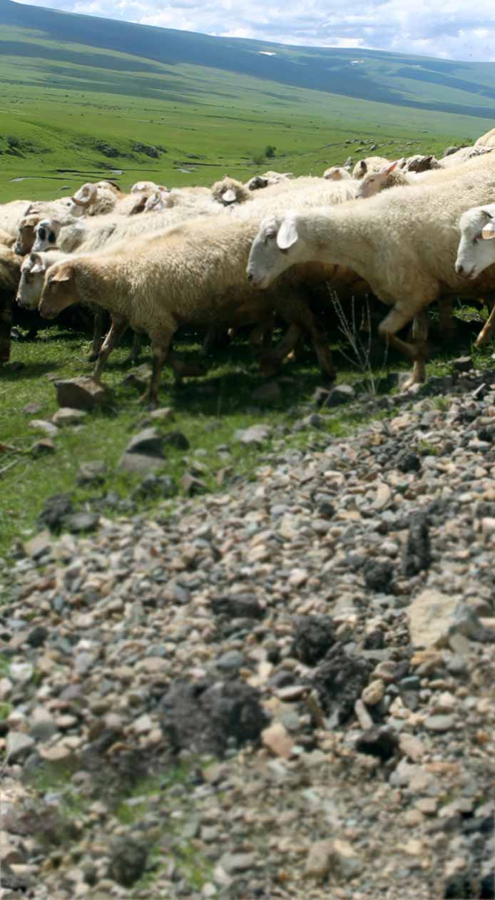 agribusiness selector background