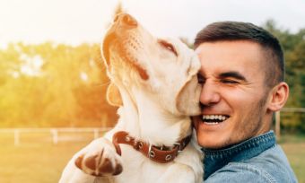 Which pet insurer has the most satisfied customers in 2020?